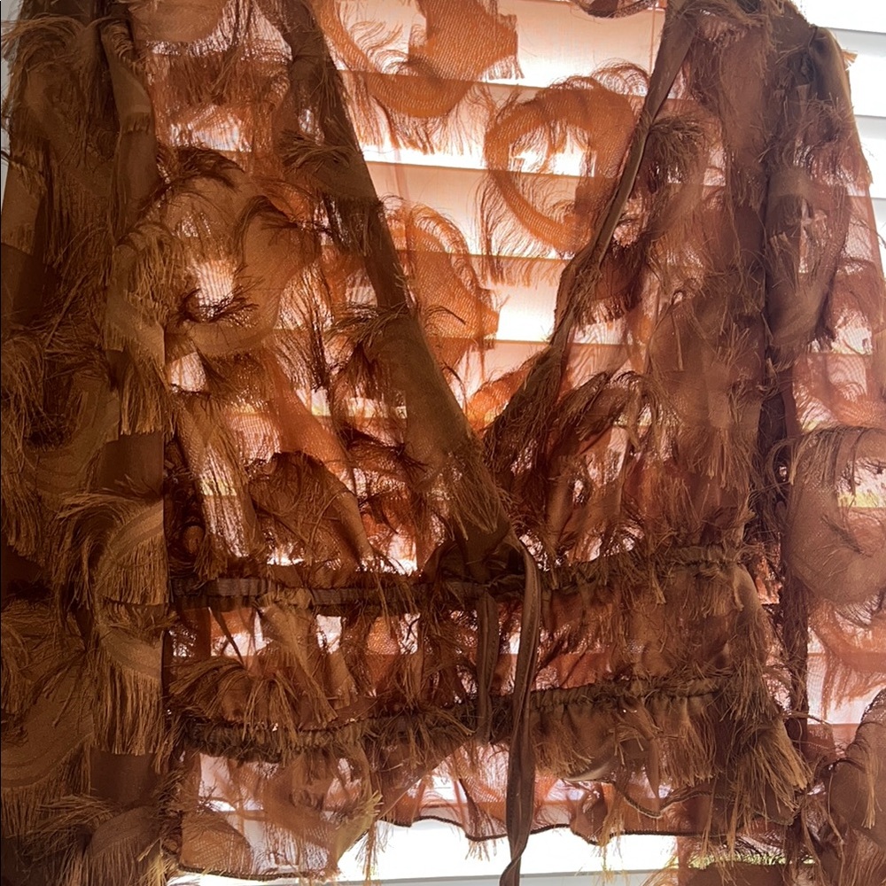 SHEIN Brown Sheer Feathered Blouse